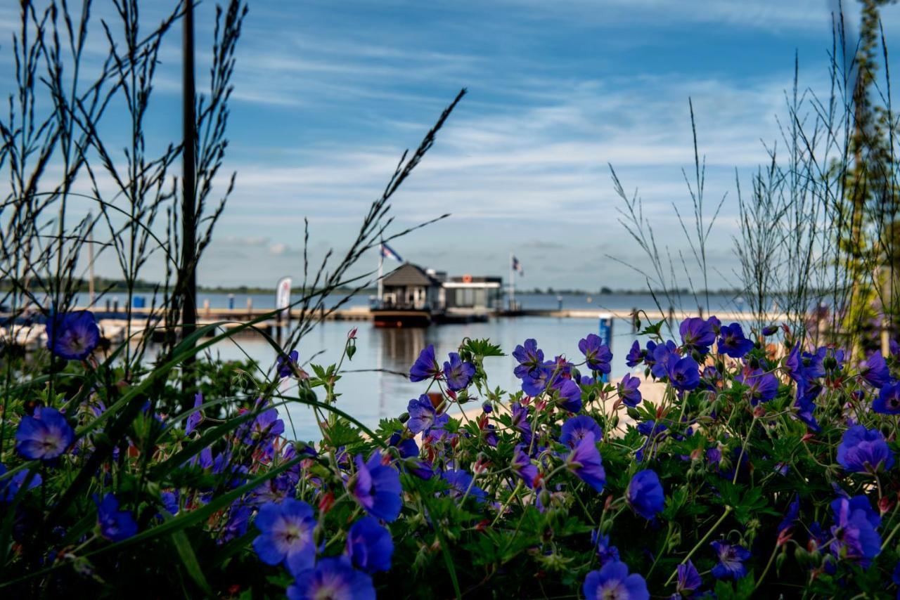 Welcome In - Houseboat 'Elysium' Met Eigen Aanlegsteiger Sneek - Offingawier Dış mekan fotoğraf